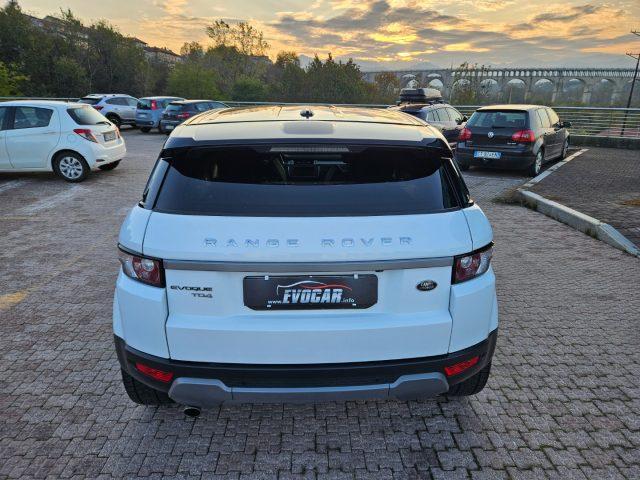 LAND ROVER Range Rover Evoque 2.2CV150 CERCHI'20 tasso0