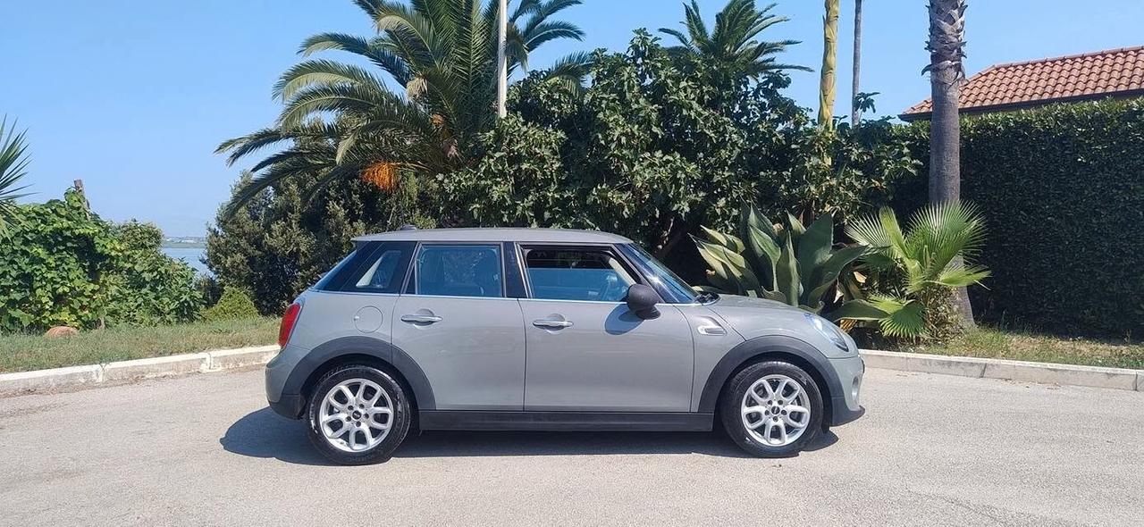 Mini 1.5 One D