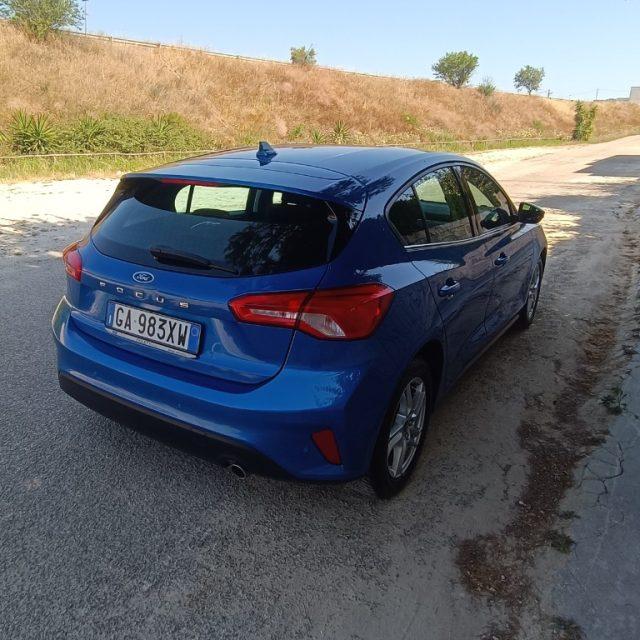 FORD Focus 1.5 EcoBlue 120 CV 5p. Business