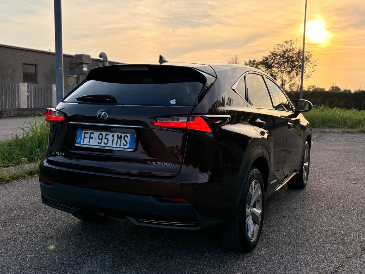 Lexus NX 300h Hybrid 4WD F-Sport 2016