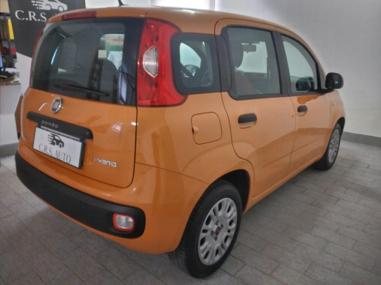 Fiat Panda 1.0 FireFly S&S Hybrid Easy benzina NEOPATENTATI