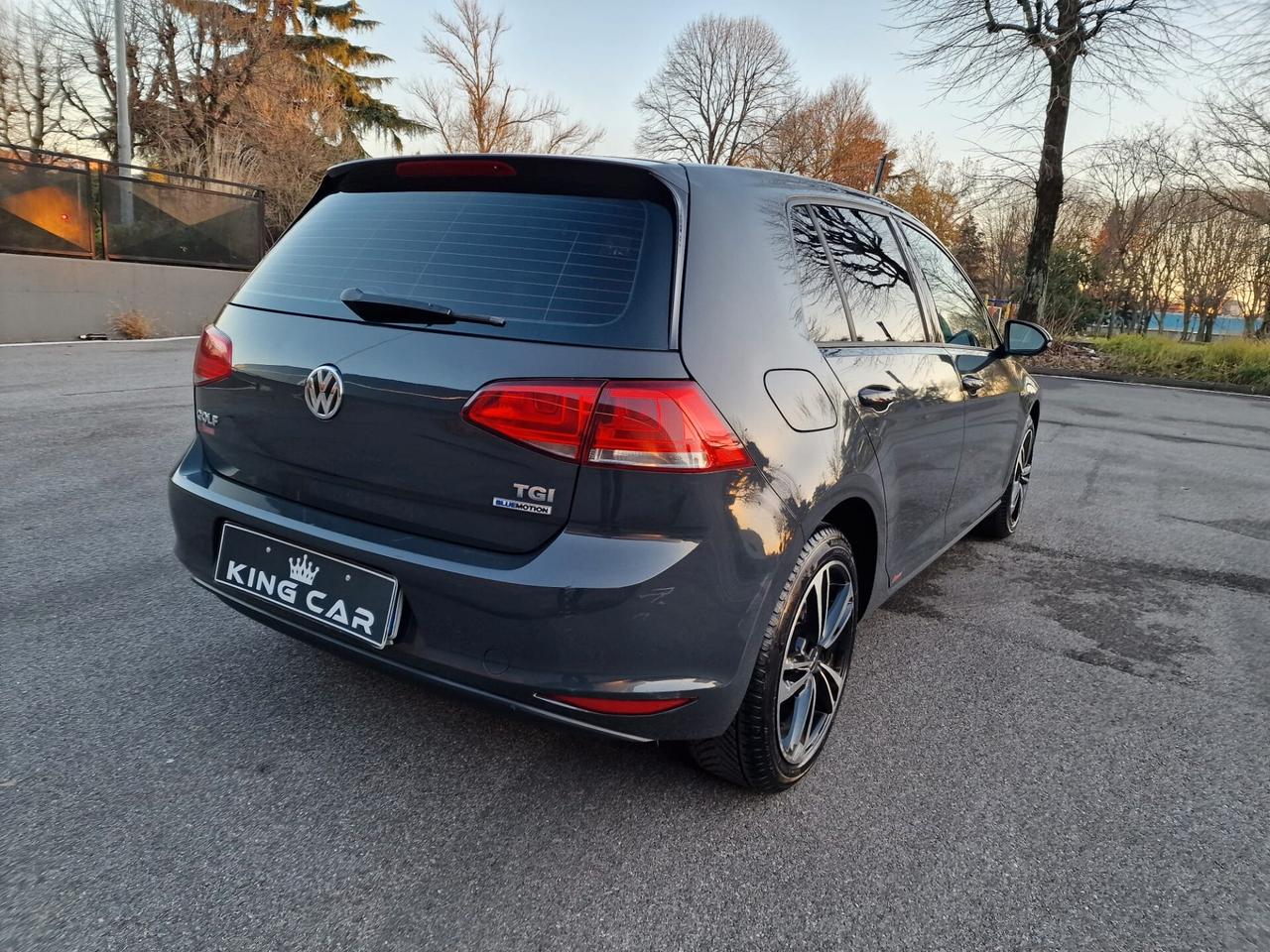 Volkswagen Golf 1.4 TGI 5p. Trendline BlueMotion