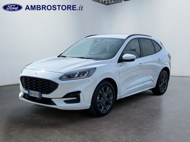 FORD Kuga III 2020 - Kuga 2.0 ecoblue ST-Line X Design 2wd 120cv