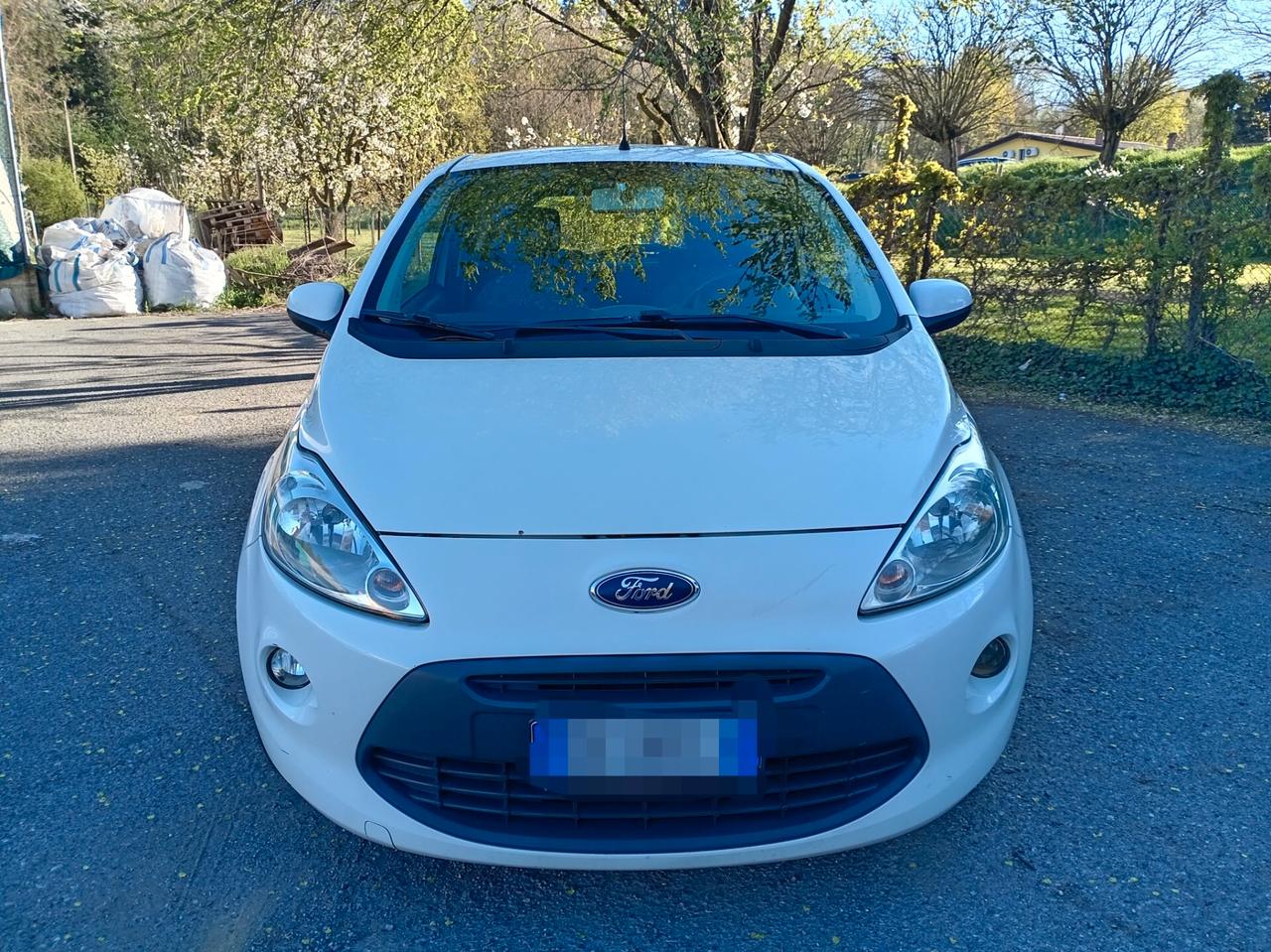 Ford Ka 1.2 8V 69 CV Individual