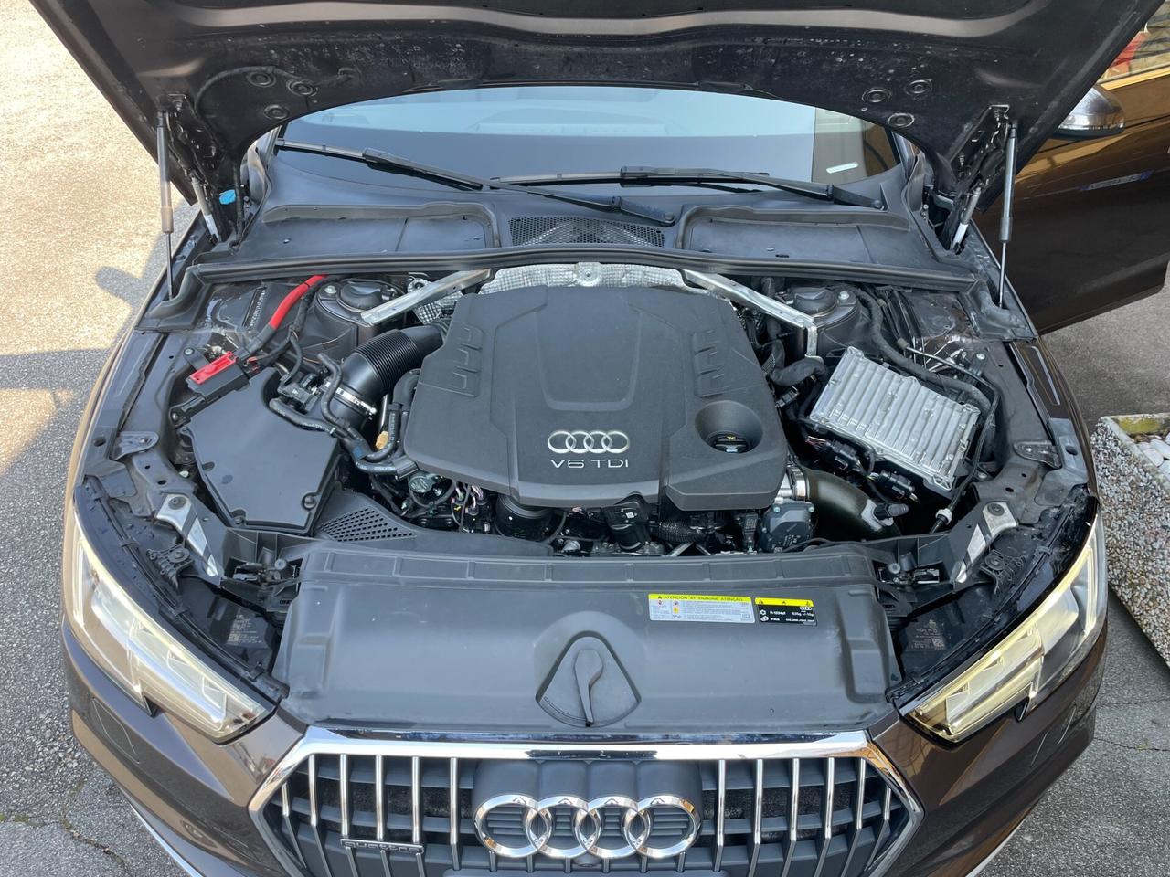 Audi A4 Allroad 3.0 TDI tiptronic Business Evolution
