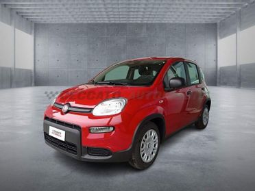 FIAT Panda Panda 1.0 70cv Hybrid Panda