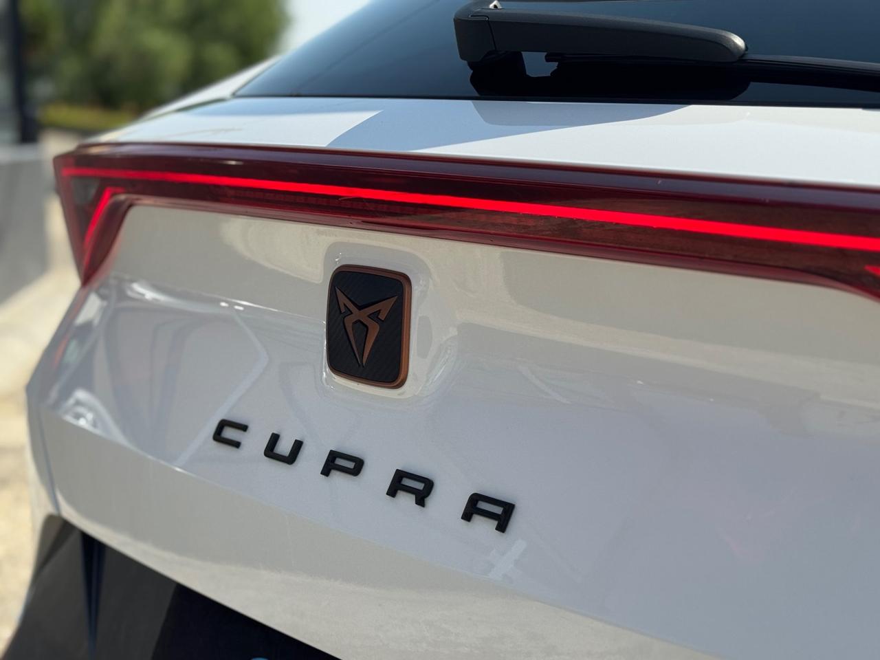 CUPRA FORMENTOR 2.0 TDI 150 CV SPORT FULL IVA ESPOSTA