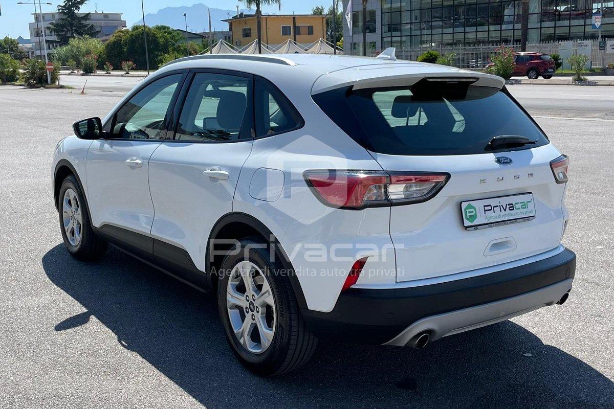 FORD Kuga 1.5 EcoBlue 120 CV 2WD Titanium Business