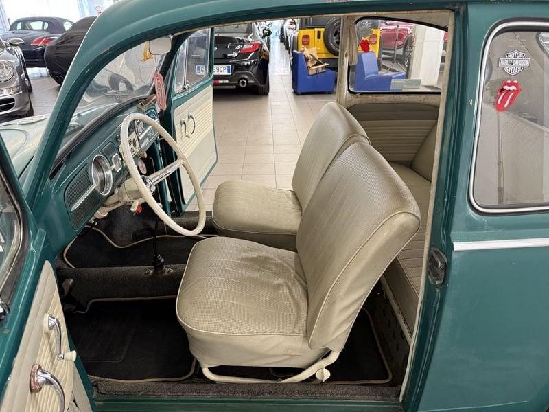 Volkswagen Maggiolino