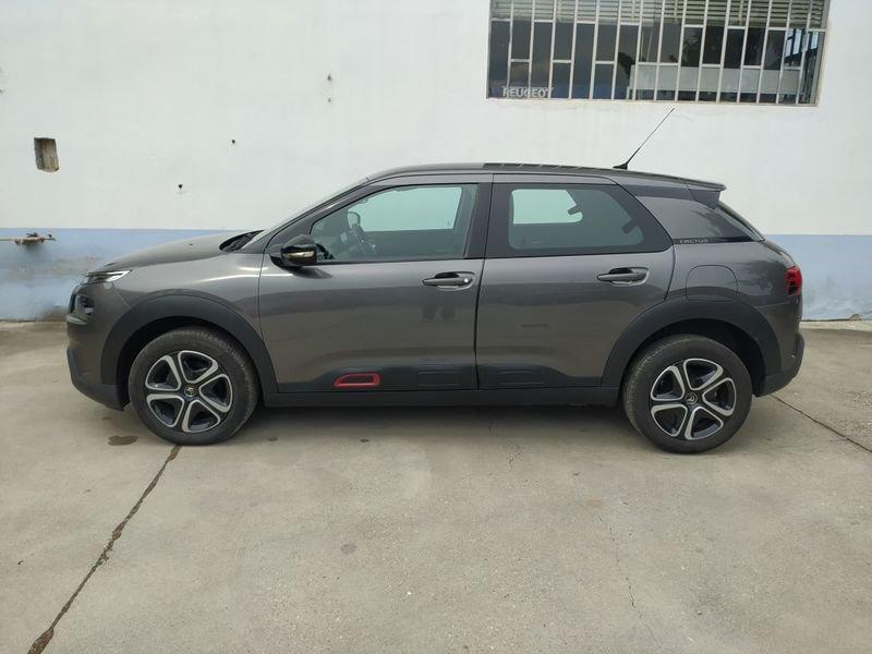 Citroën C4 Cactus 100 1.5 hdi Feel Zero Interessi