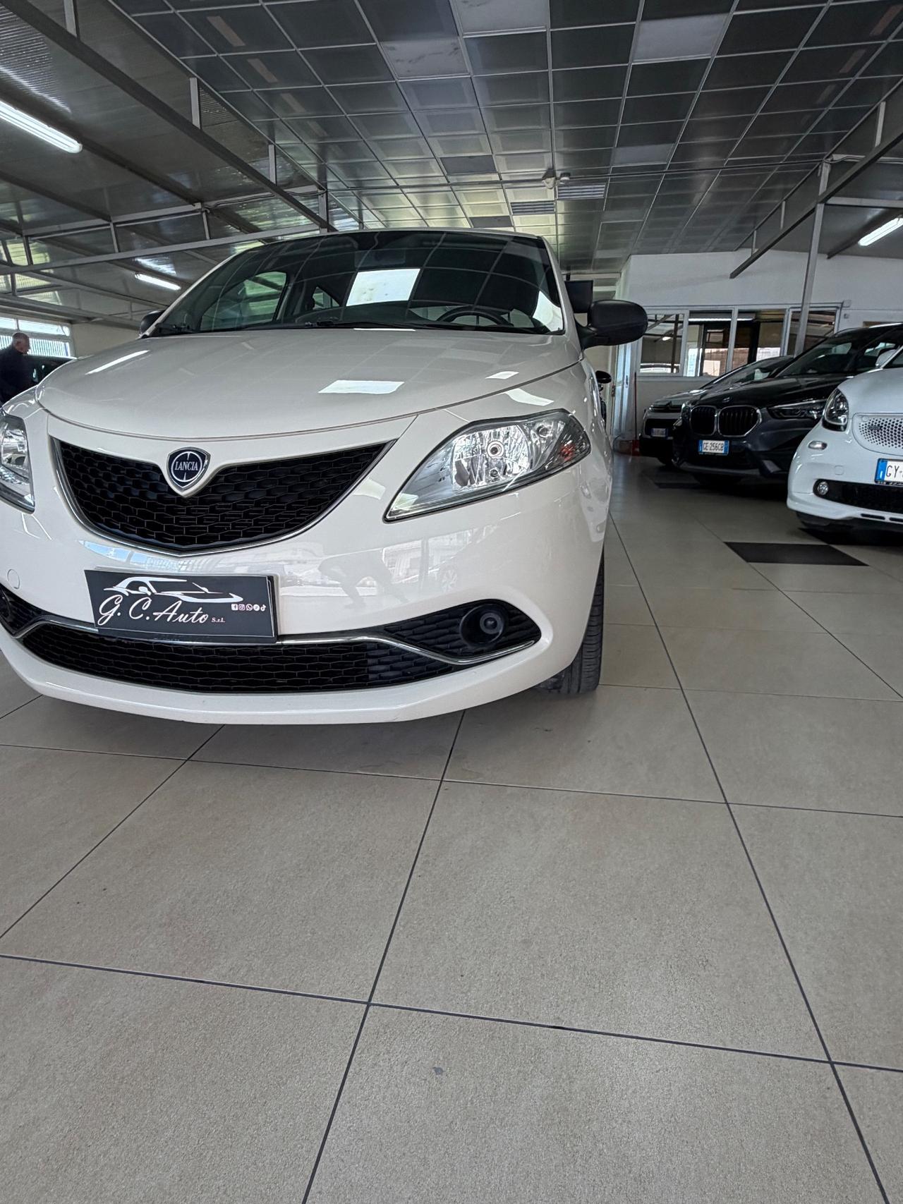 Lancia Ypsilon 1.3 MJT 16V 95 CV 5 porte S&S Silver
