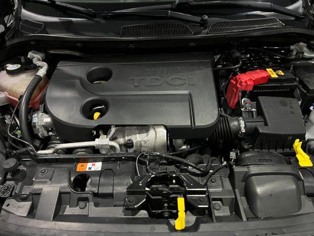 FORD Fiesta 1.6 TDCi 5 porte / 95 CV - E5
