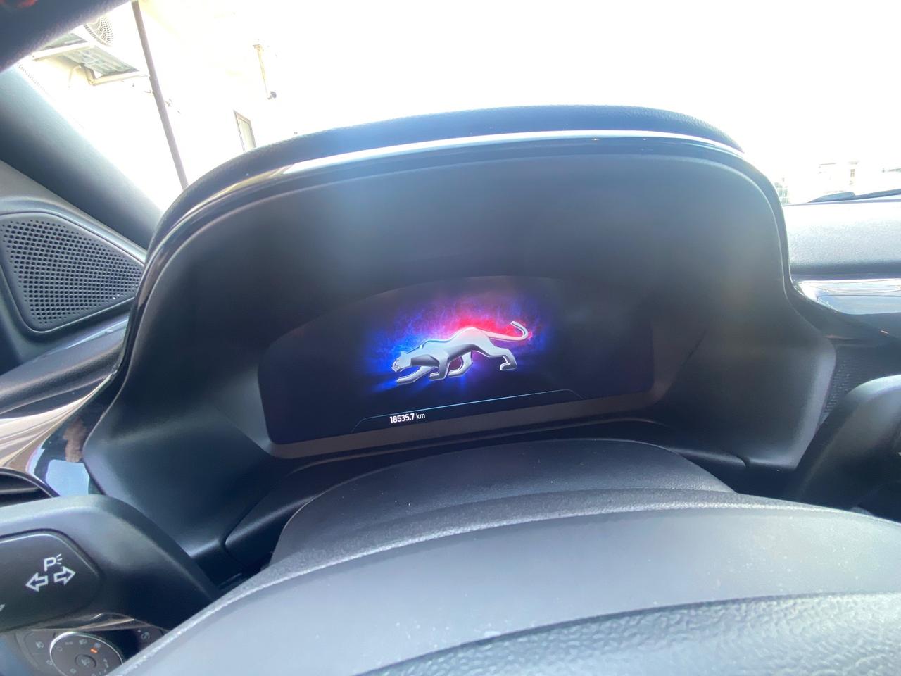 Ford Puma 1.0 EcoBoost Hybrid 125 CV S&S ST-Line