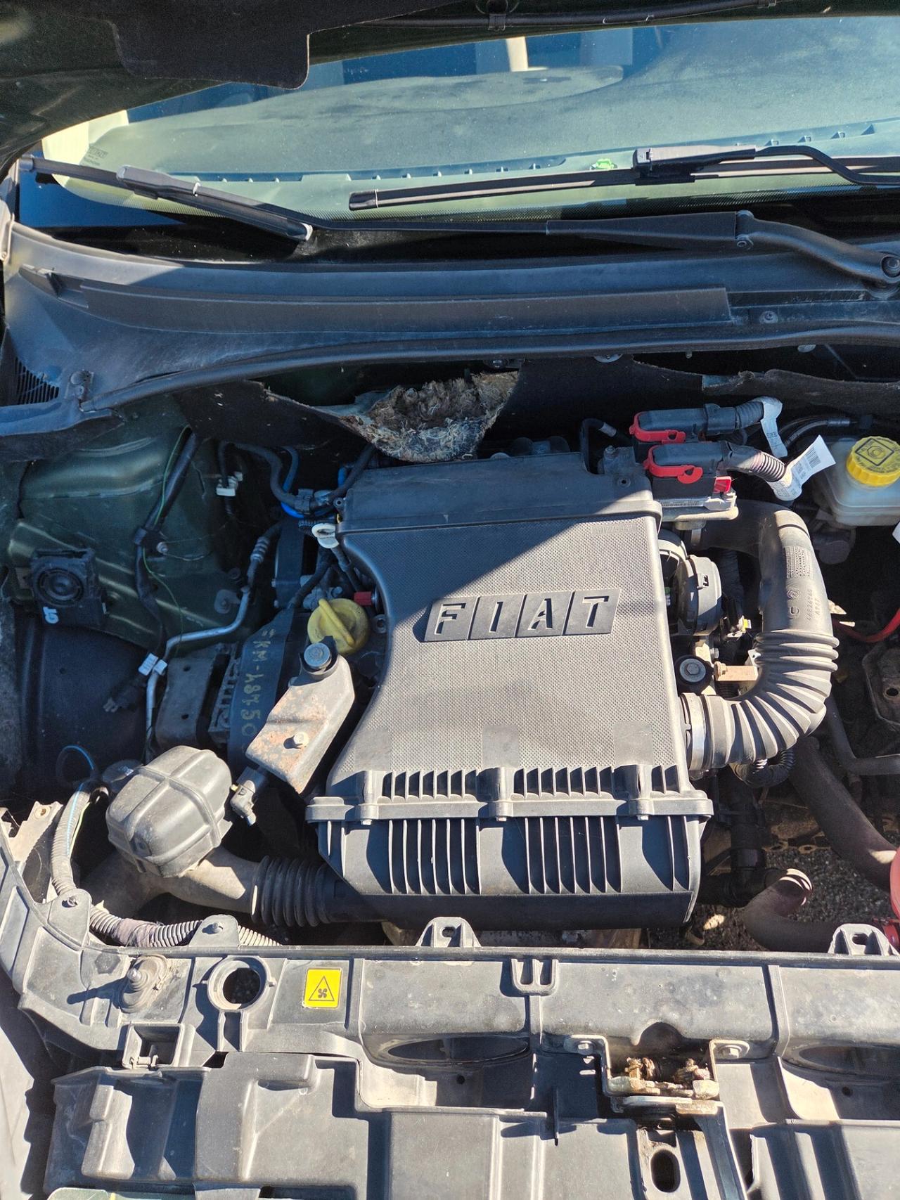 Fiat Grande Punto 1.4 Starjet 16V 5 porte Dynamic