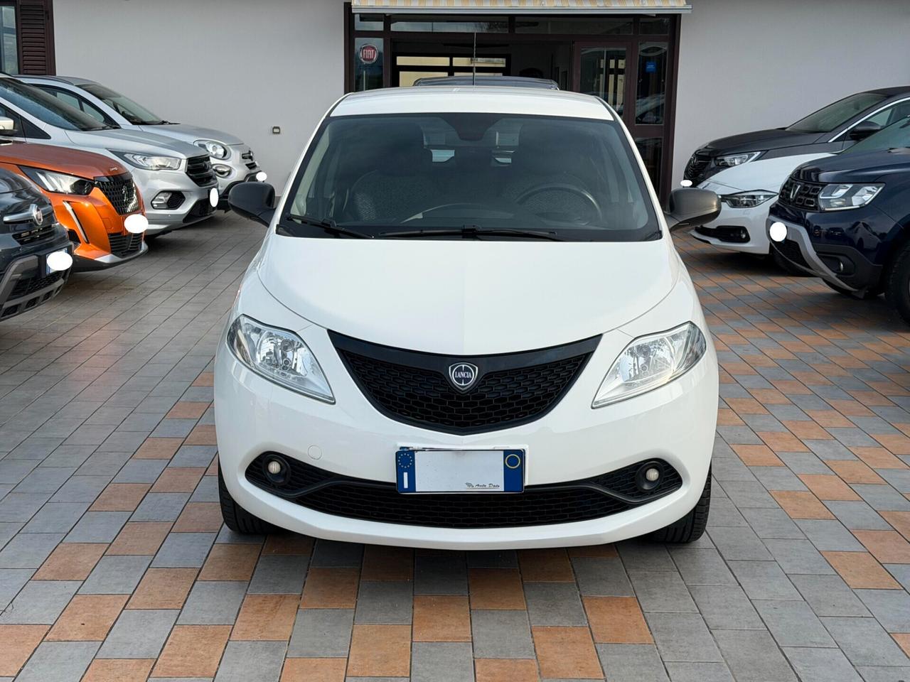 Lancia Ypsilon 1.2 69 cv. ELEFANTINO BLU
