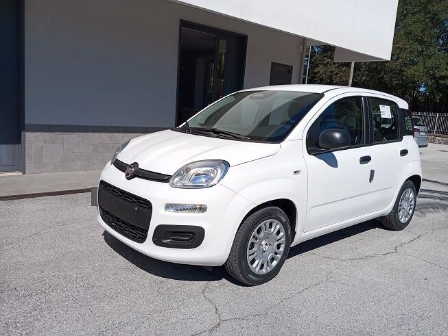 Fiat Panda 1.0 FireFly S&S Hybrid Icon