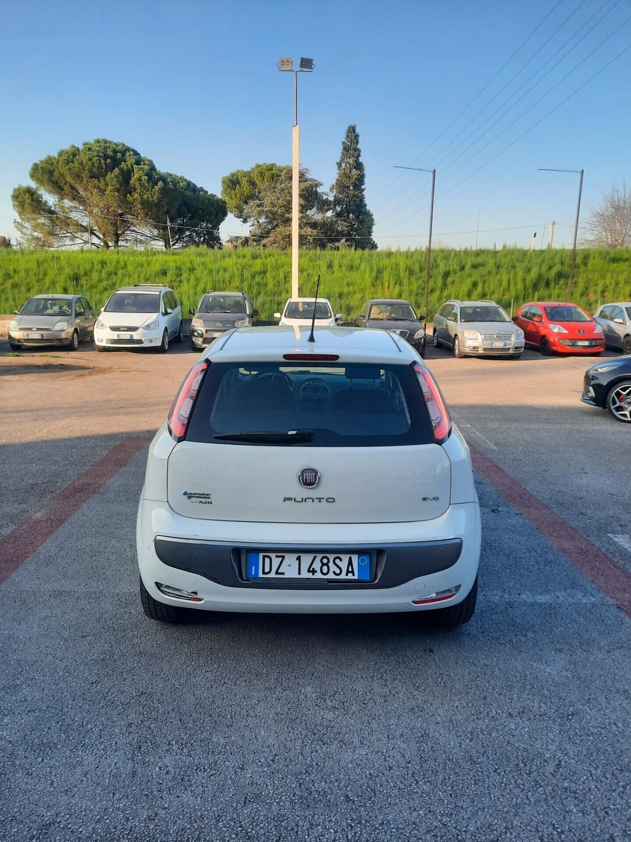 Fiat Grande Punto 1.4 5 porte Dynamic Natural Power