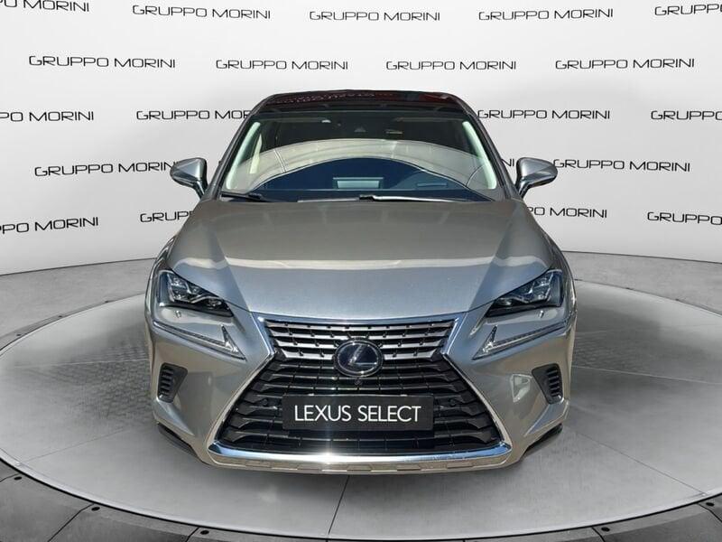 Lexus NX NX 300h 2.5 Luxury 4wd cvt