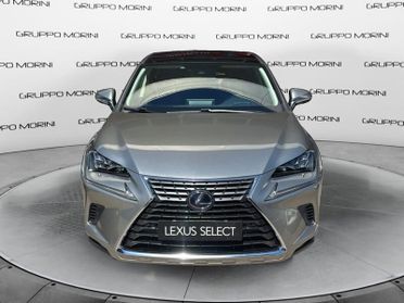 Lexus NX NX 300h 2.5 Luxury 4wd cvt