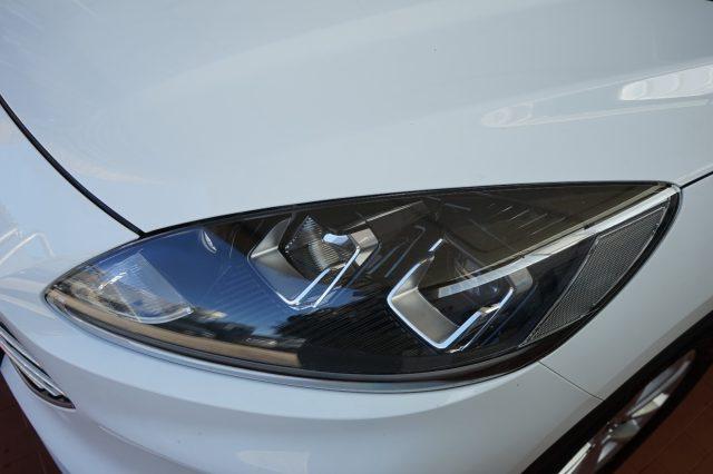 FORD Kuga 1.5 EcoBlue 120 CV 2WD Titanium Business