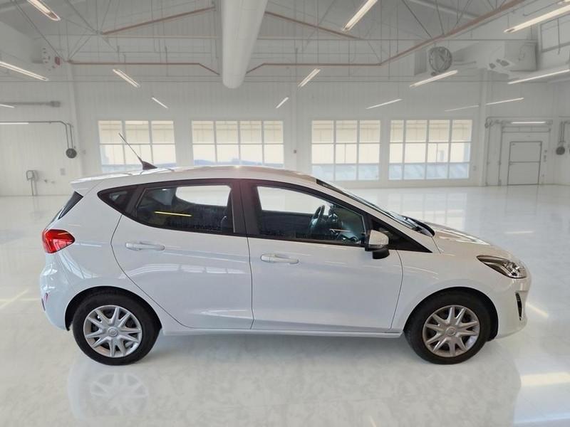 FORD FIESTA 1.5 EcoBlue 85CV Business 5 PORTE