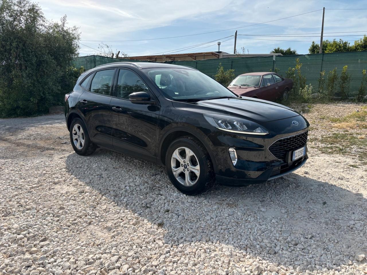 Ford Kuga 1.5 EcoBlue 120 CV aut. 2WD ST-Line X