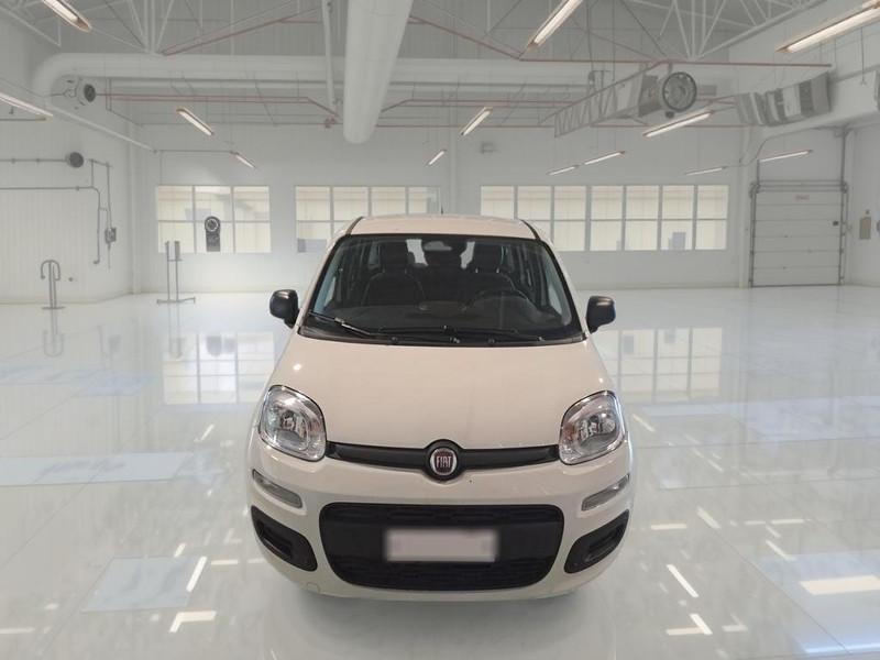 FIAT PANDINA 1.0 FIREFLY 65 CV SES 6M HYBRID ICON 5 PORTE BERLINA
