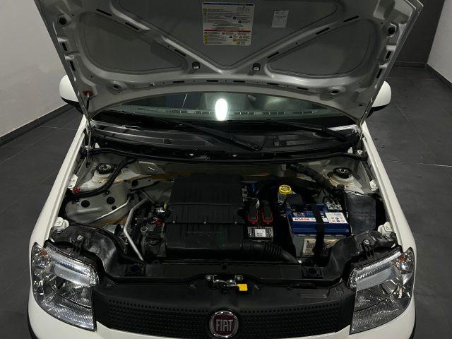 FIAT Panda 1.2 KM 75.000 UNICA PROPRIETARIA