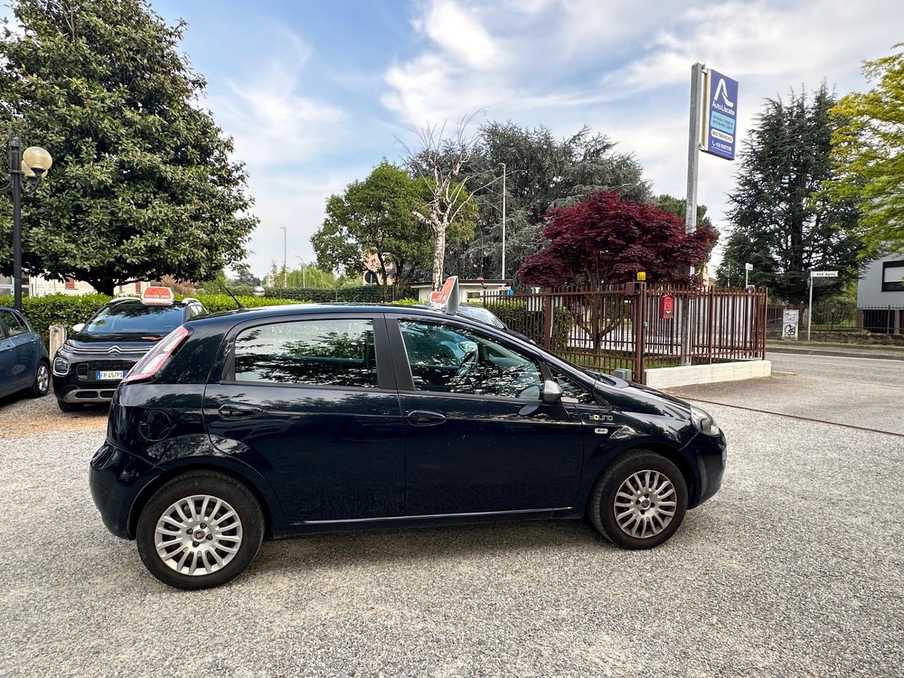 Fiat Punto 1.2 8V 5 porte Lounge