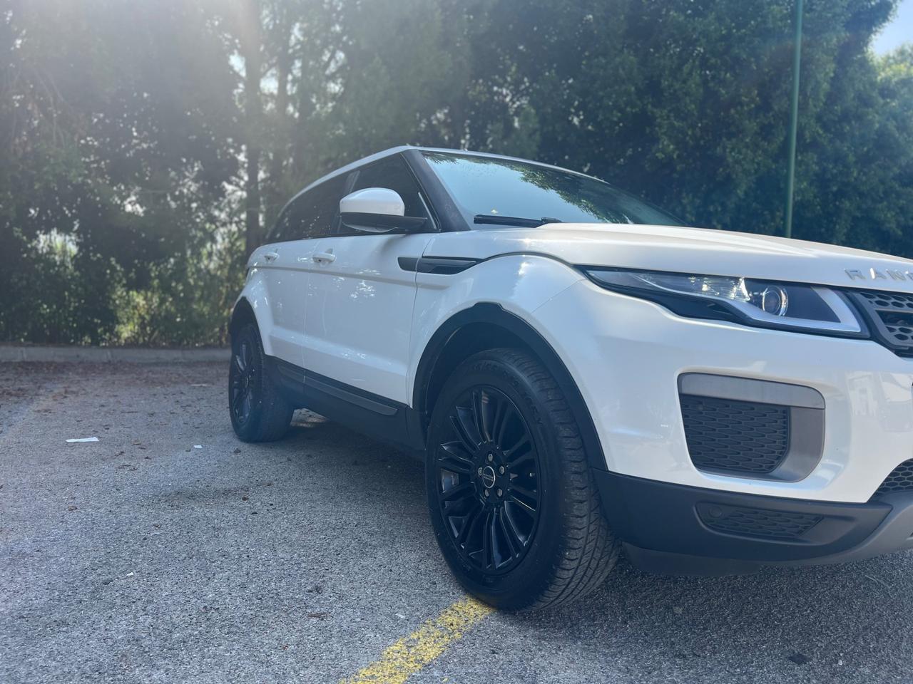 Land Rover Range Rover Evoque Range Rover Evoque 2.0 TD4 150 CV 5p. SE