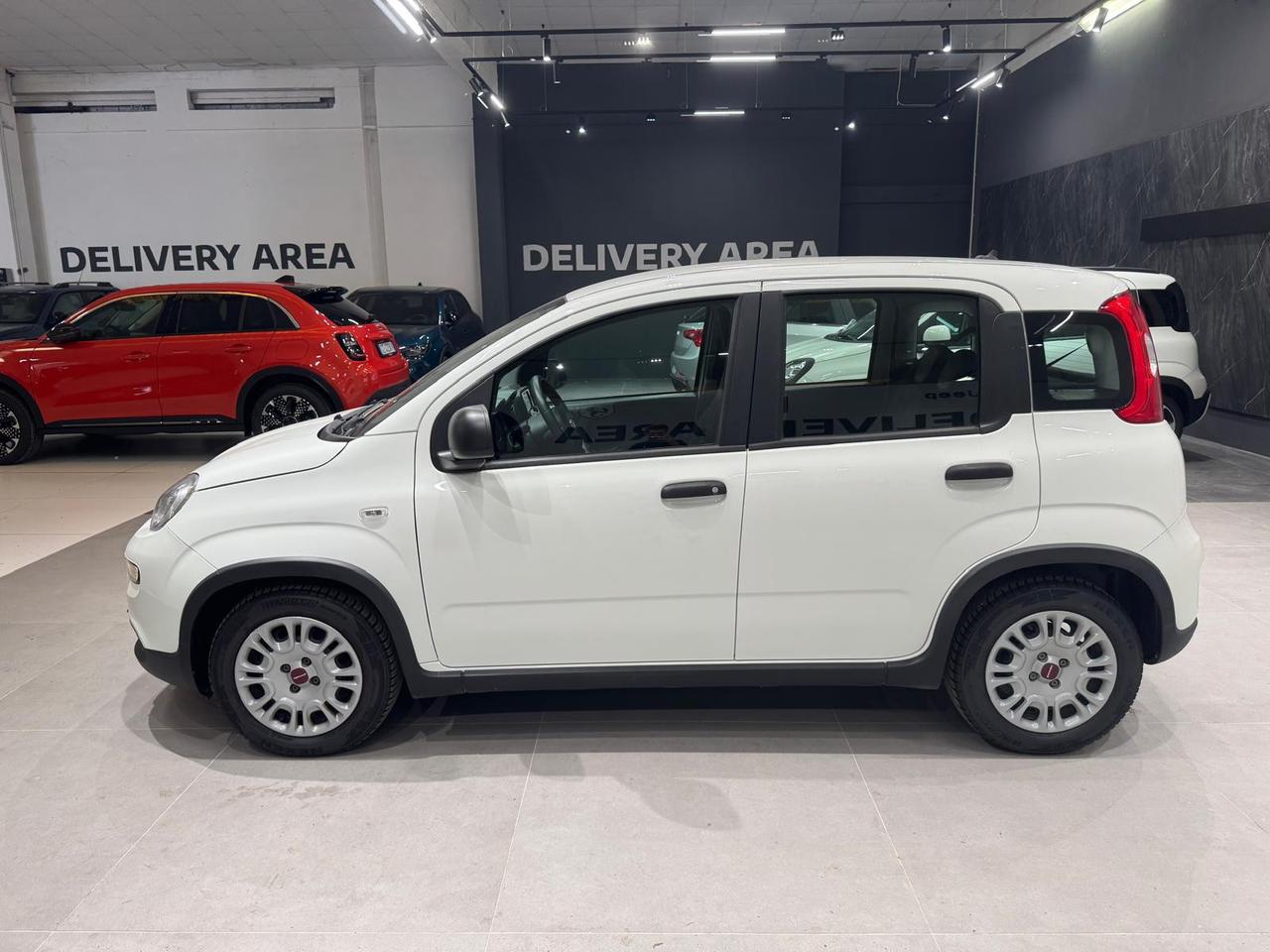 FIAT Panda III 2021 - Panda 1.0 firefly hybrid s&s 70cv 5p.ti