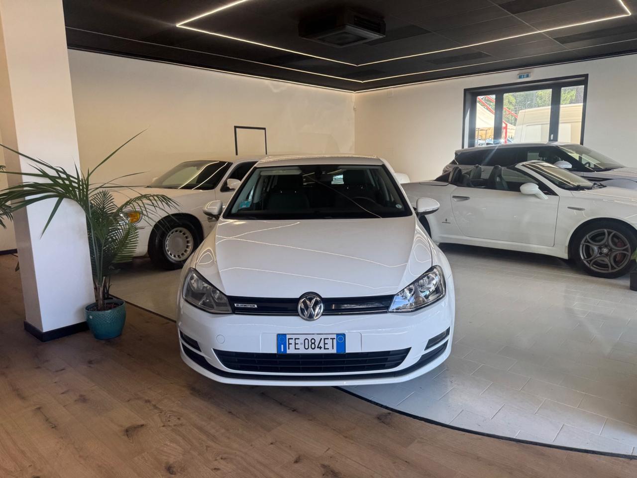 Volkswagen Golf 1.4 TGI 5p. Trendline BlueMotion