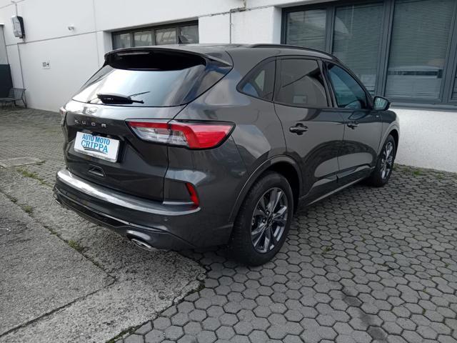 FORD Kuga 2.0 ECOBLUE 120CV AUTOMATICA 2WD ST-LINE
