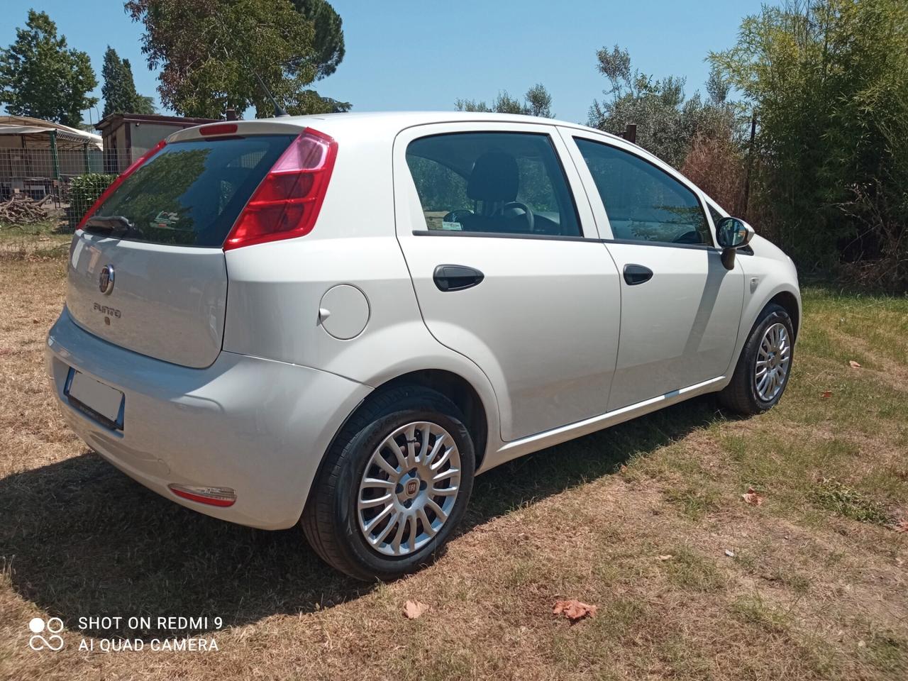 Fiat Punto 1.2 GPL 5 porte Street NEOPATENTATI