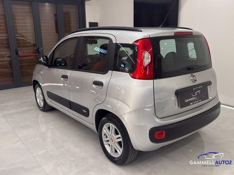FIAT Panda 1.2 69cv E6 Easy