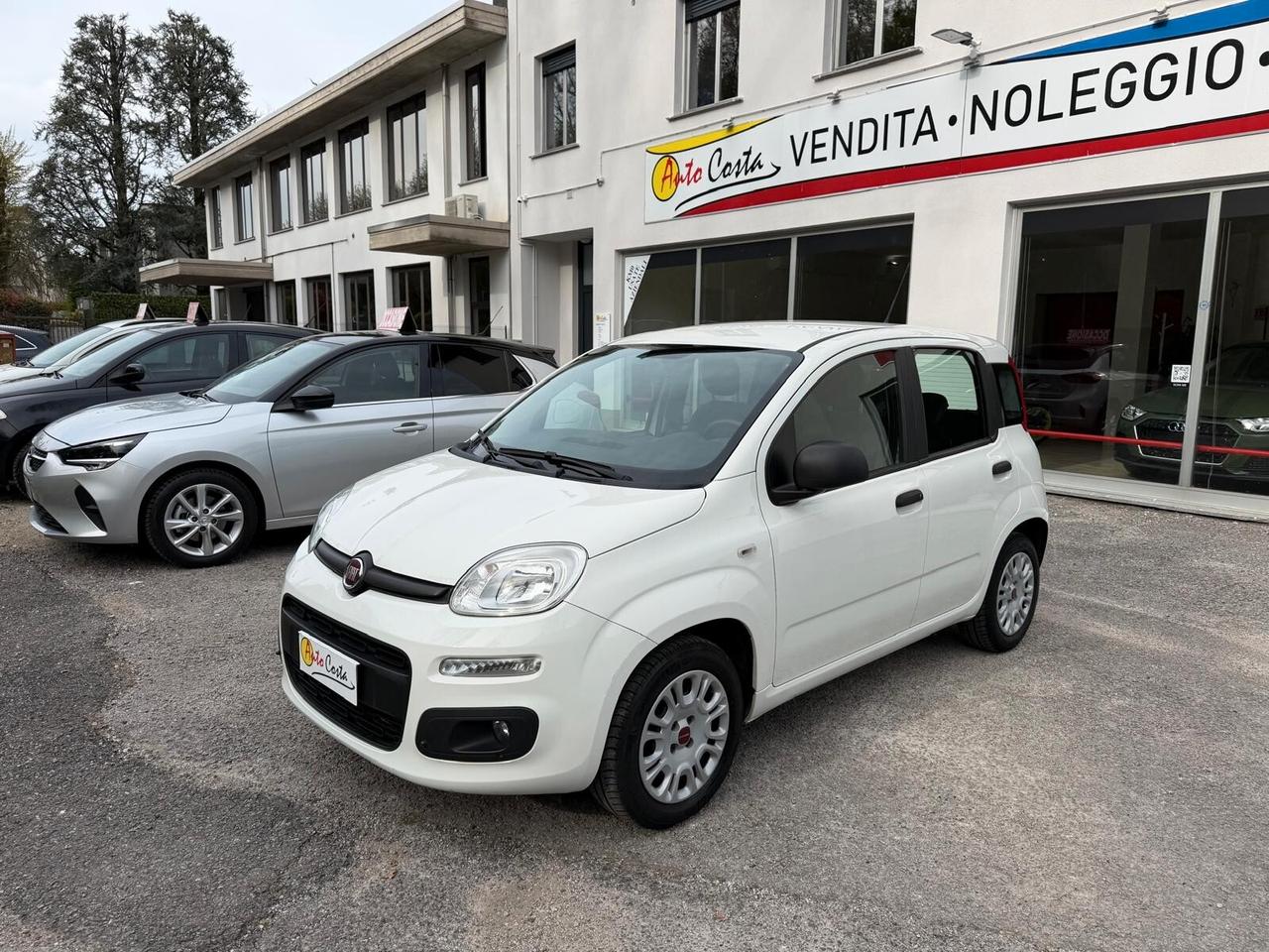Fiat Panda 1.2 Lounge Neopatentati