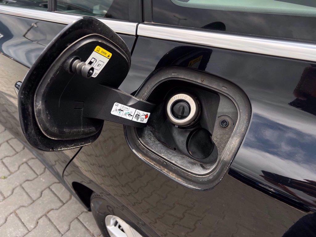 FORD Focus SW 1.5 ecoblue Business Co-pilot s&s 120cv auto del 2019