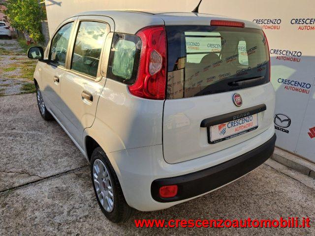 FIAT Panda 1.2 Easy Van 4 posti