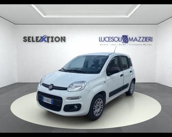 FIAT PANDA - Panda 1.2 Easy