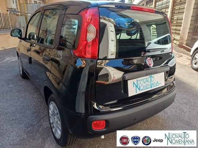 FIAT Panda Pandina 1.0 FireFly S&S Hybrid Icon 5°P Km0