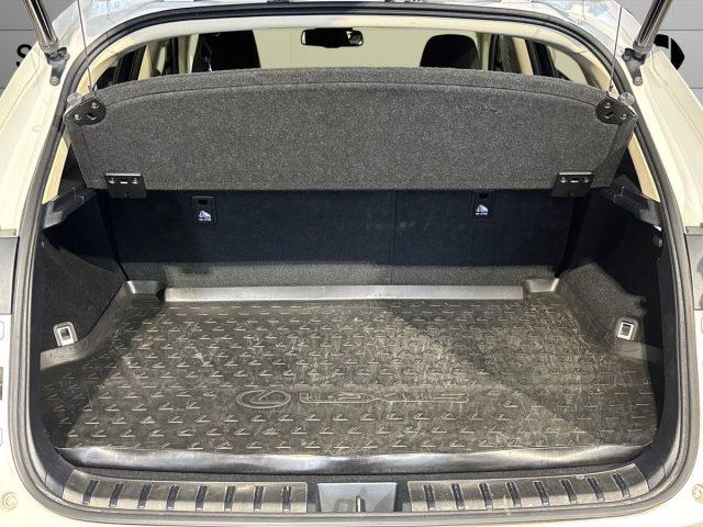 LEXUS NX 300 Hybrid 4WD Sport