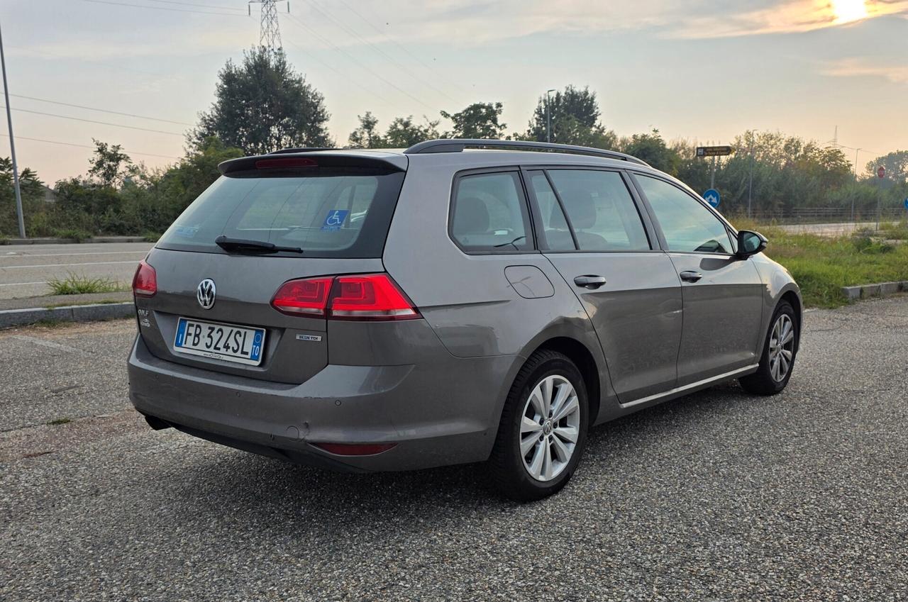 Volkswagen Golf Variant 1.6 TDI 110 CV DSG Highline