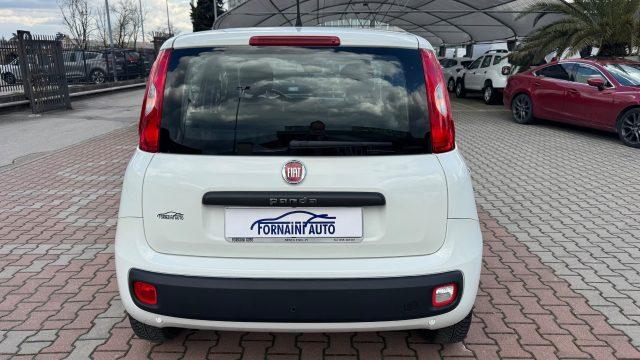 FIAT New Panda 1.2 S.&S. E6D-TEMP EASY 5 POSTI GUIDABILE NEOPA