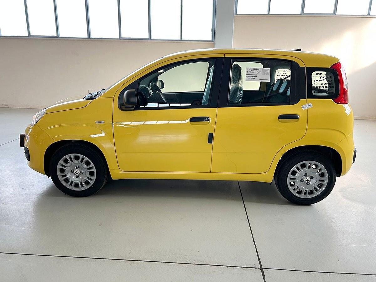 Fiat Panda Pandina 1.0 FireFly 65 CV Hybrid Icon