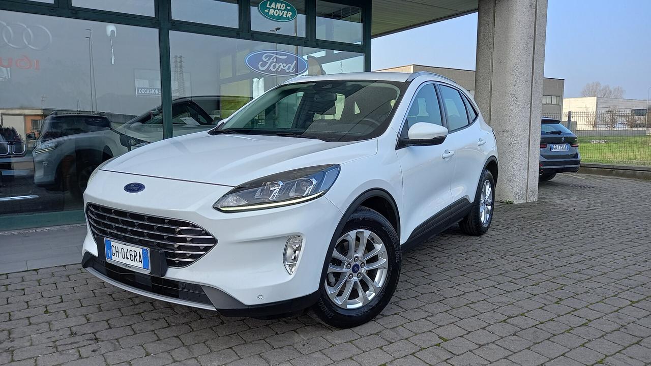 Ford Kuga 1.5 EcoBlue 120 CV aut. 2WD Titanium Business