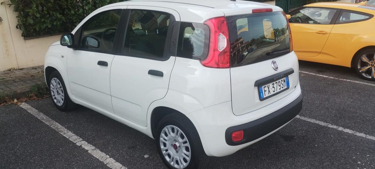 Fiat Panda 1.2 Easy 5P ANNO 2019 BENZINA