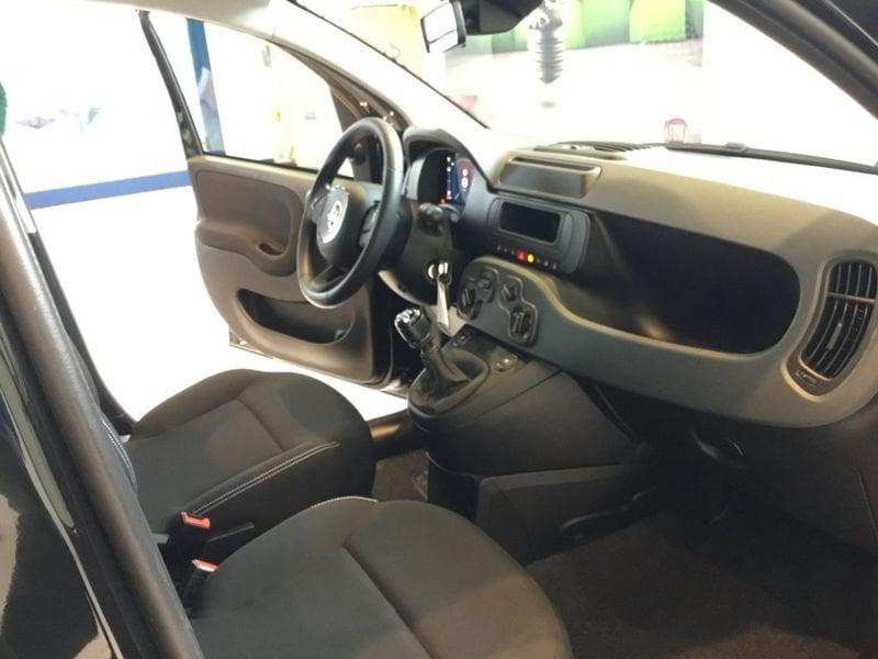 FIAT Panda Panda 1.0 FireFly S&S Hybrid Pop 65cv