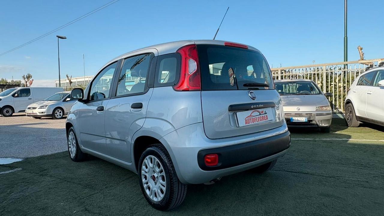 Fiat Panda 1.2 312PXA1A | BENZINA 2012/01-2020/01 169A4000 CC 1242 CV 69 KW 51 BERLINA, 5 P. (92816