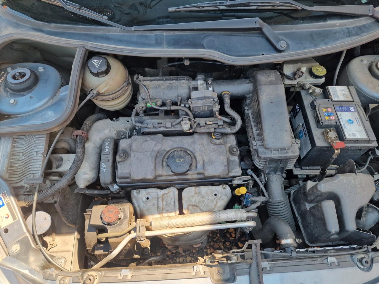 Peugeot 206 Plus 1.1 60CV 5p. distribuzione ok.