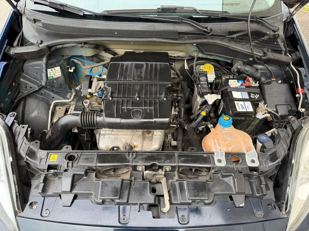 Fiat Punto 1.2 Benzina 3p NEOPATENTATI 2015